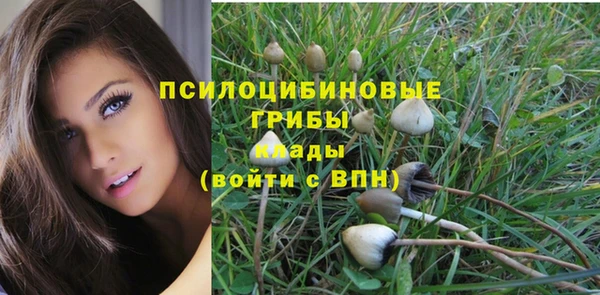 ПСИЛОЦИБИНОВЫЕ ГРИБЫ Баксан