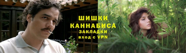 ПСИЛОЦИБИНОВЫЕ ГРИБЫ Баксан