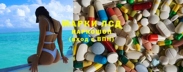 ПСИЛОЦИБИНОВЫЕ ГРИБЫ Баксан
