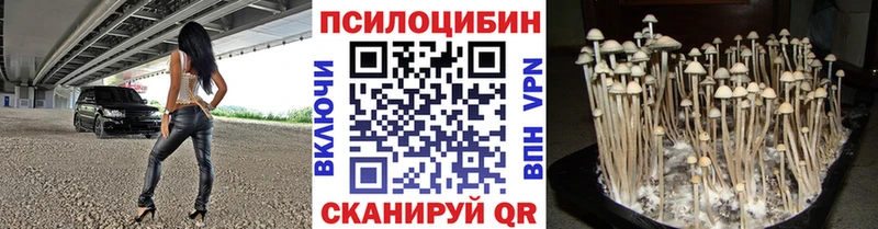 Галлюциногенные грибы мицелий наркотики Светлый